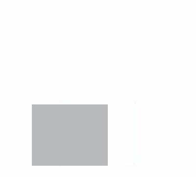 RAL 9006G<br>white aluminium gloss