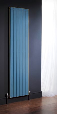capri vertical double bespoke colour radiator